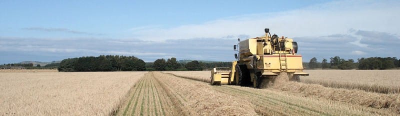 The Scottish Lowlands are great farming land