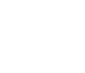 Bladnoch logo