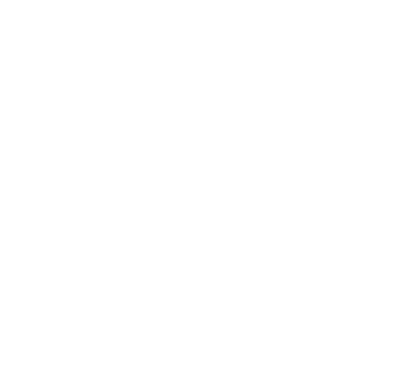 Loch Lomond logo
